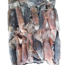 Giant Squid Dosidicus Gigas Whole Round New Stock Size 300-500g 500-1000g Seafrozen No Glazing Woven Bag